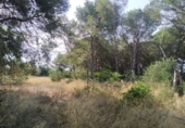 Finca rústica en venta en Tortosa ref: TR63259 foto