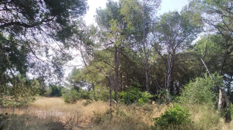 Tarragona - Tortosa - 189470m2