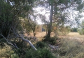Finca rústica en venta en Tortosa ref: TR63259 foto