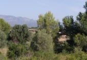 Finca rústica en venta en Tortosa ref: TR63259 foto