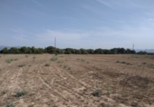 Finca rústica en venta en Tortosa ref: TR63259 foto