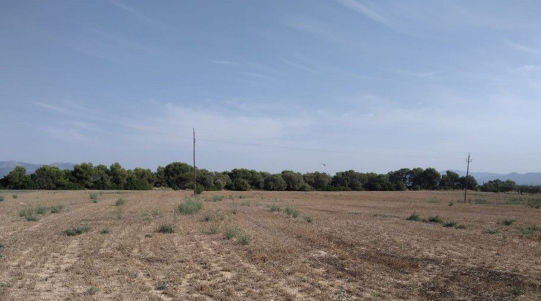 Tarragona - Tortosa - 189470m2