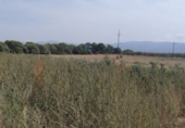 Finca rústica en venta en Tortosa ref: TR63259 foto