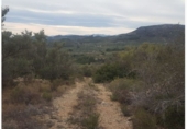 Finca rústica en venda a Tortosa ref.: TR187434 foto