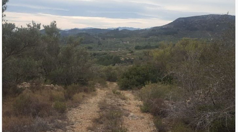 Tarragona - Tortosa - 17893m2