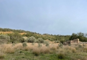Terreno no urbanizable en venta en Alcover ref: TR99441 foto