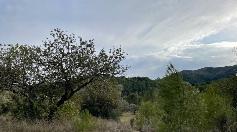 Tarragona - Benifallet - 105675m2
