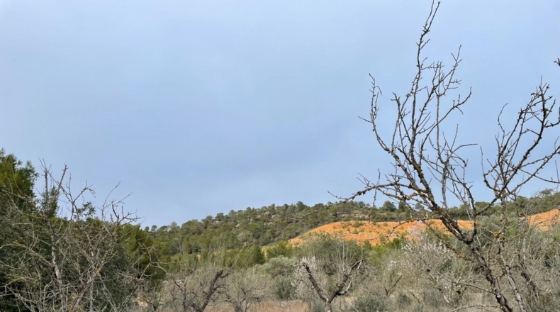 Tarragona - Benifallet - 105675m2