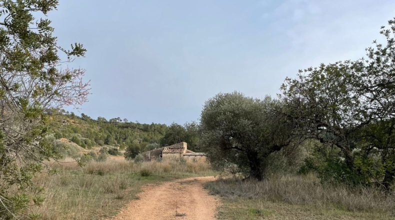 Tarragona - Benifallet - 105675m2