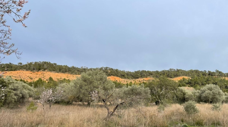 Tarragona - Benifallet - 105675m2