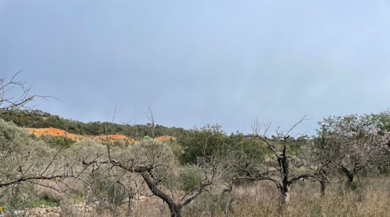 Tarragona - Benifallet - 105675m2