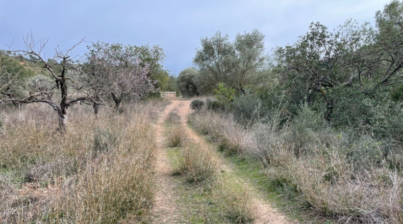Tarragona - Benifallet - 105675m2