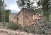 Terreno no urbanizable en venta en Alcover ref: TR99441 foto