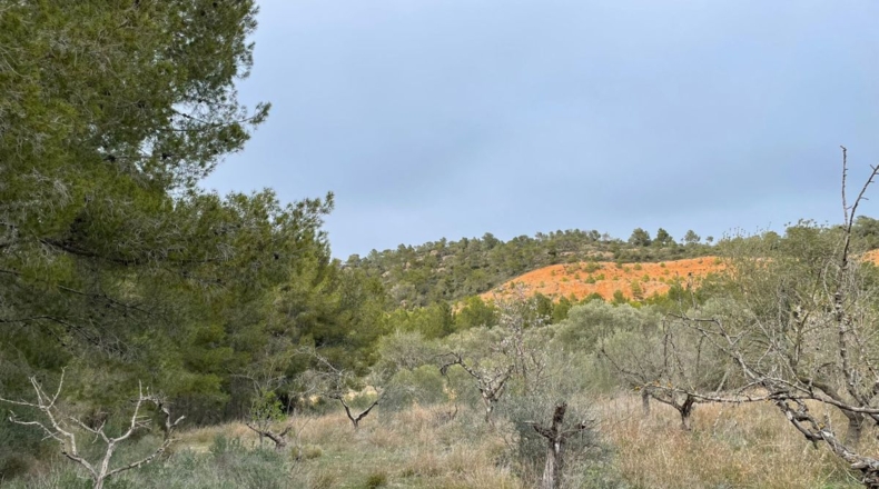 Tarragona - Benifallet - 105675m2