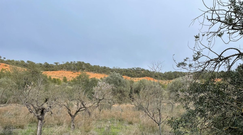 Tarragona - Benifallet - 105675m2