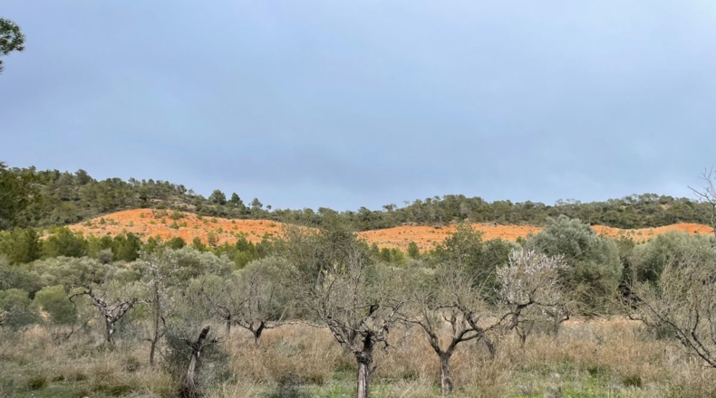 Tarragona - Benifallet - 105675m2