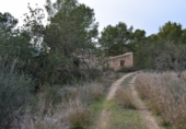 Terreno no urbanizable en venta en Alcover ref: TR99441 foto
