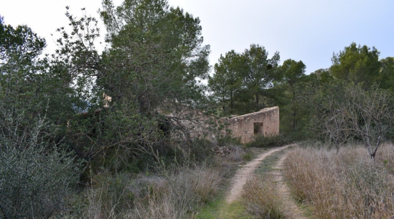 Tarragona - Benifallet - 105675m2
