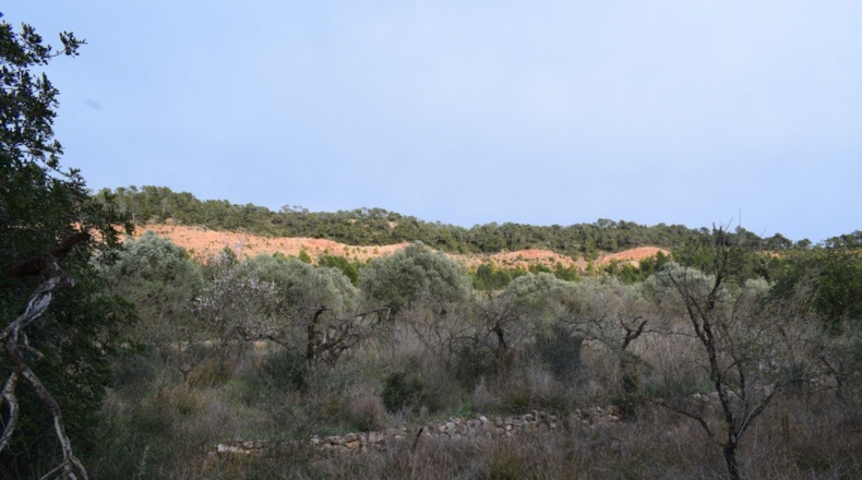Tarragona - Benifallet - 105675m2