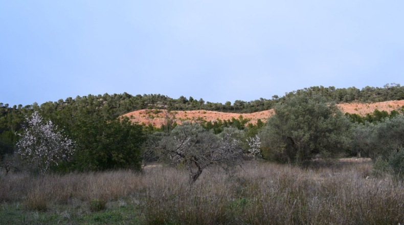 Tarragona - Benifallet - 105675m2