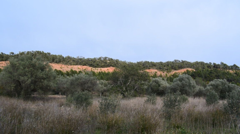 Tarragona - Benifallet - 105675m2