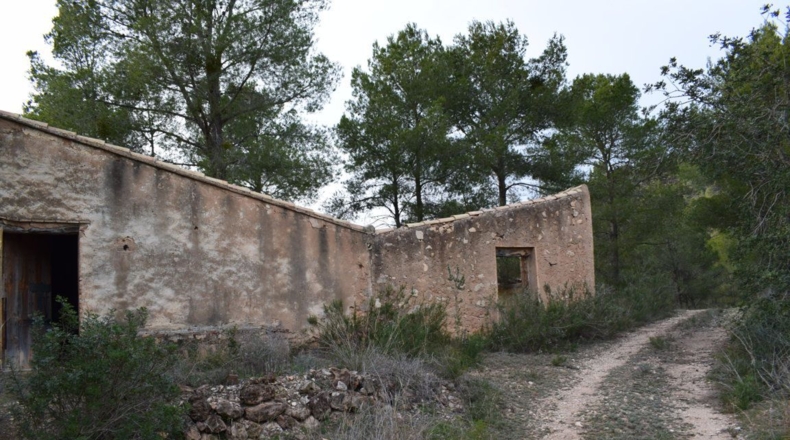 Tarragona - Benifallet - 105675m2