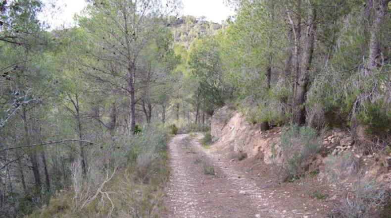 Tarragona - Benifallet - 105675m2