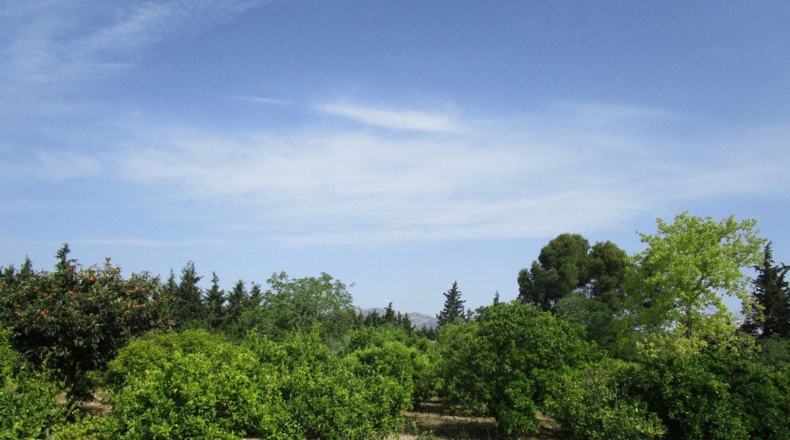 Tarragona - Aldover - 3078m2