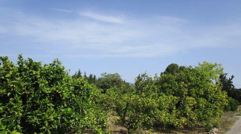 Tarragona - Aldover - 3078m2