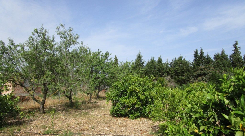 Tarragona - Aldover - 3078m2