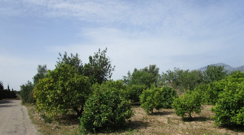Tarragona - Aldover - 3078m2