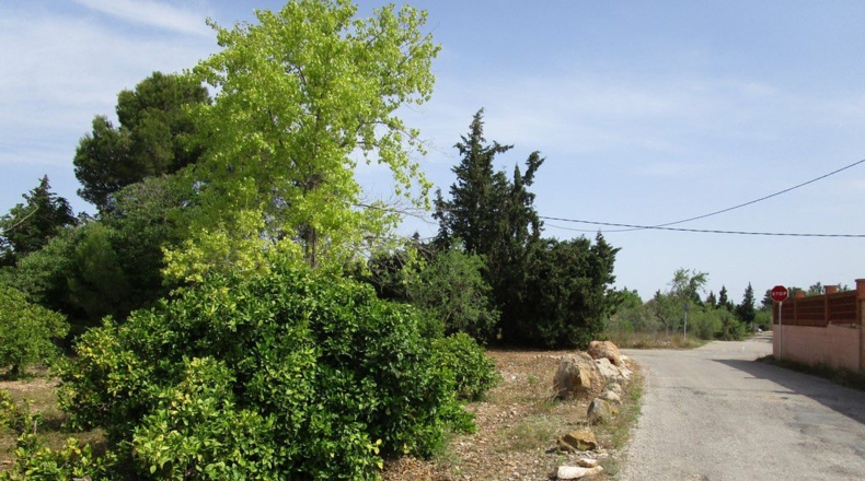 Tarragona - Aldover - 3078m2