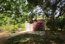 Foto 11