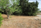 Terreny no urbanitzable en venda a Aldover ref.: TR99440 foto