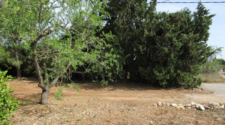 Tarragona - Aldover - 3078m2