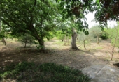 Terreny no urbanitzable en venda a Aldover ref.: TR99440 foto