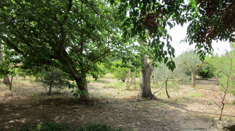 Tarragona - Aldover - 3078m2