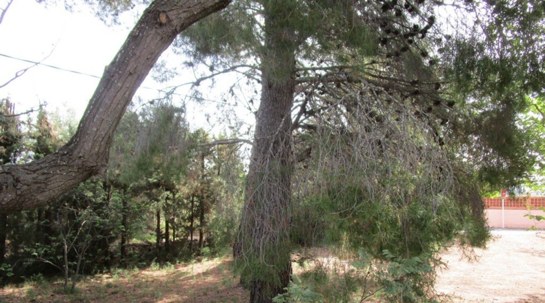Tarragona - Aldover - 3078m2