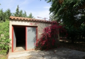 Terreny no urbanitzable en venda a Aldover ref.: TR99440 foto