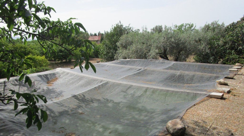 Tarragona - Aldover - 3078m2