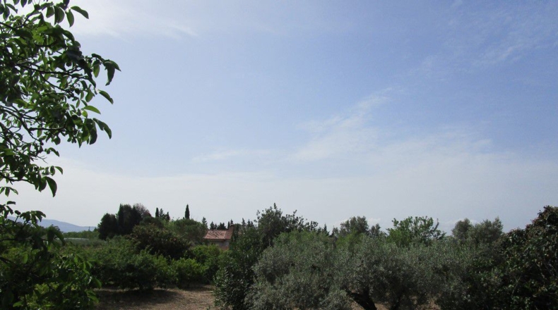 Tarragona - Aldover - 3078m2