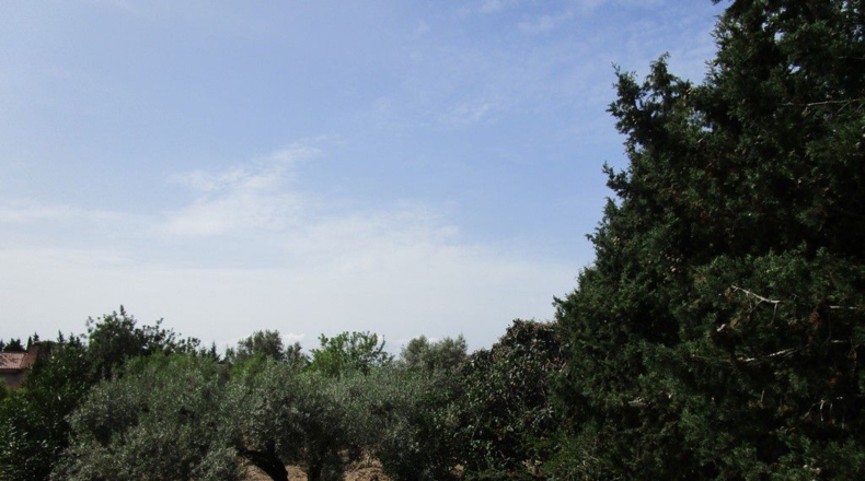 Tarragona - Aldover - 3078m2