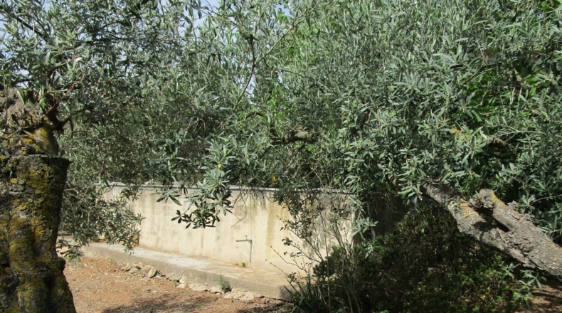Tarragona - Aldover - 3078m2