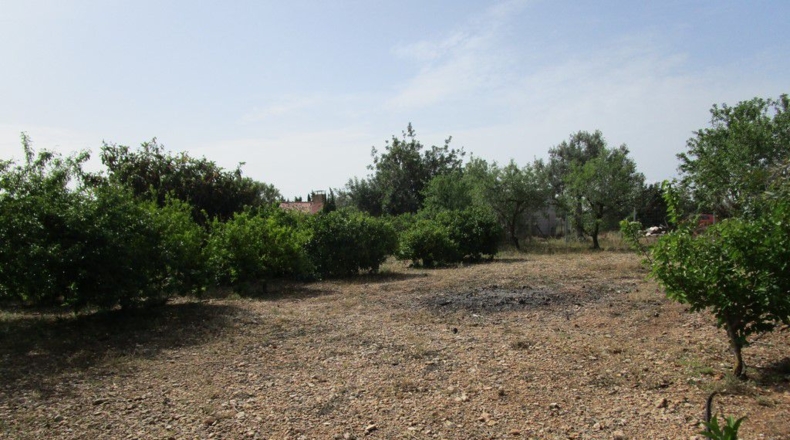 Tarragona - Aldover - 3078m2