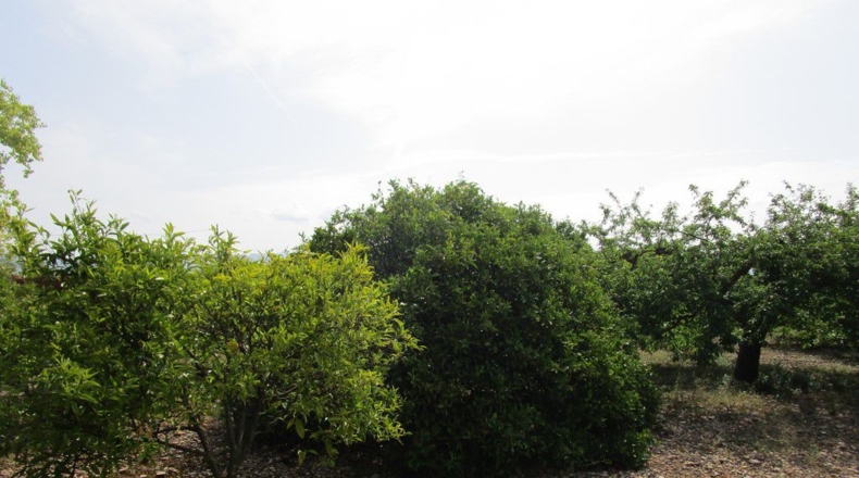 Tarragona - Aldover - 3078m2
