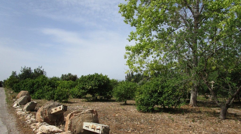 Tarragona - Aldover - 3078m2