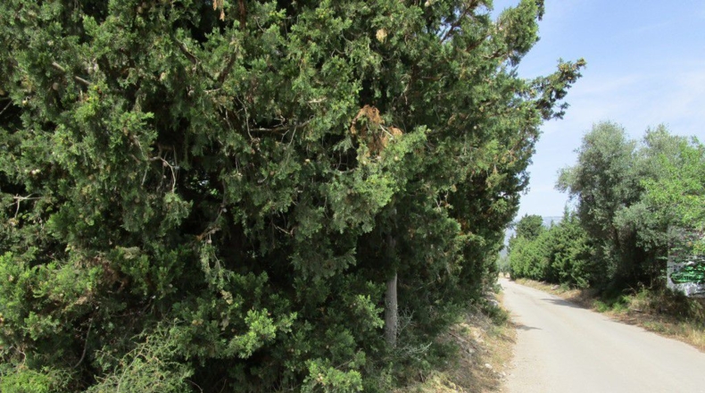 Tarragona - Aldover - 3078m2
