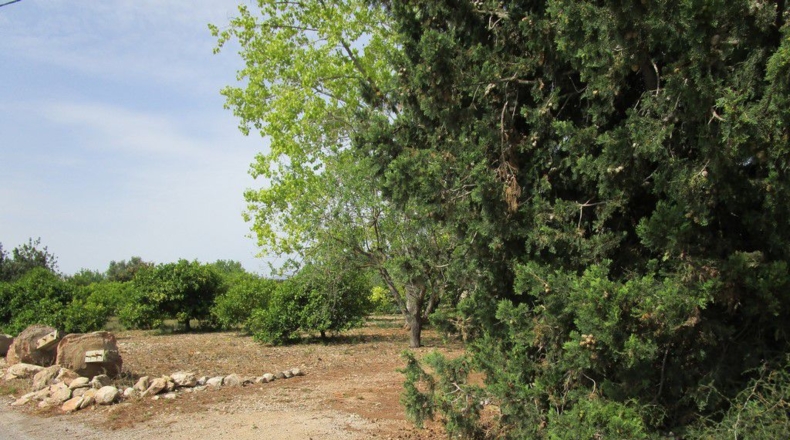 Tarragona - Aldover - 3078m2