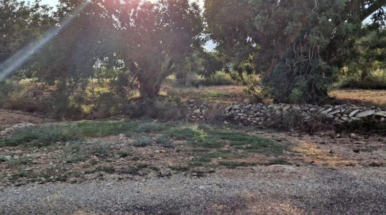 Tarragona - Vinallop - 22026m2