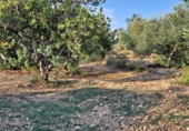 Chalet independiente con terreno en venta en Tortosa ref: TR89457 foto